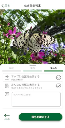 詳細画面