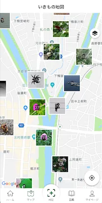 マップ画面