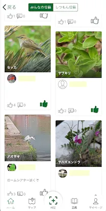 投稿画面