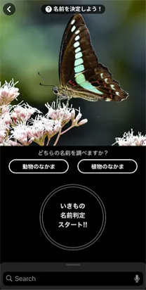 検索画面